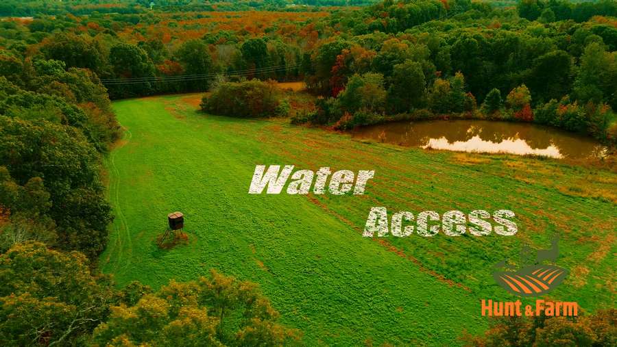 Still 2025-11-29 081237_1.97.15.jpg